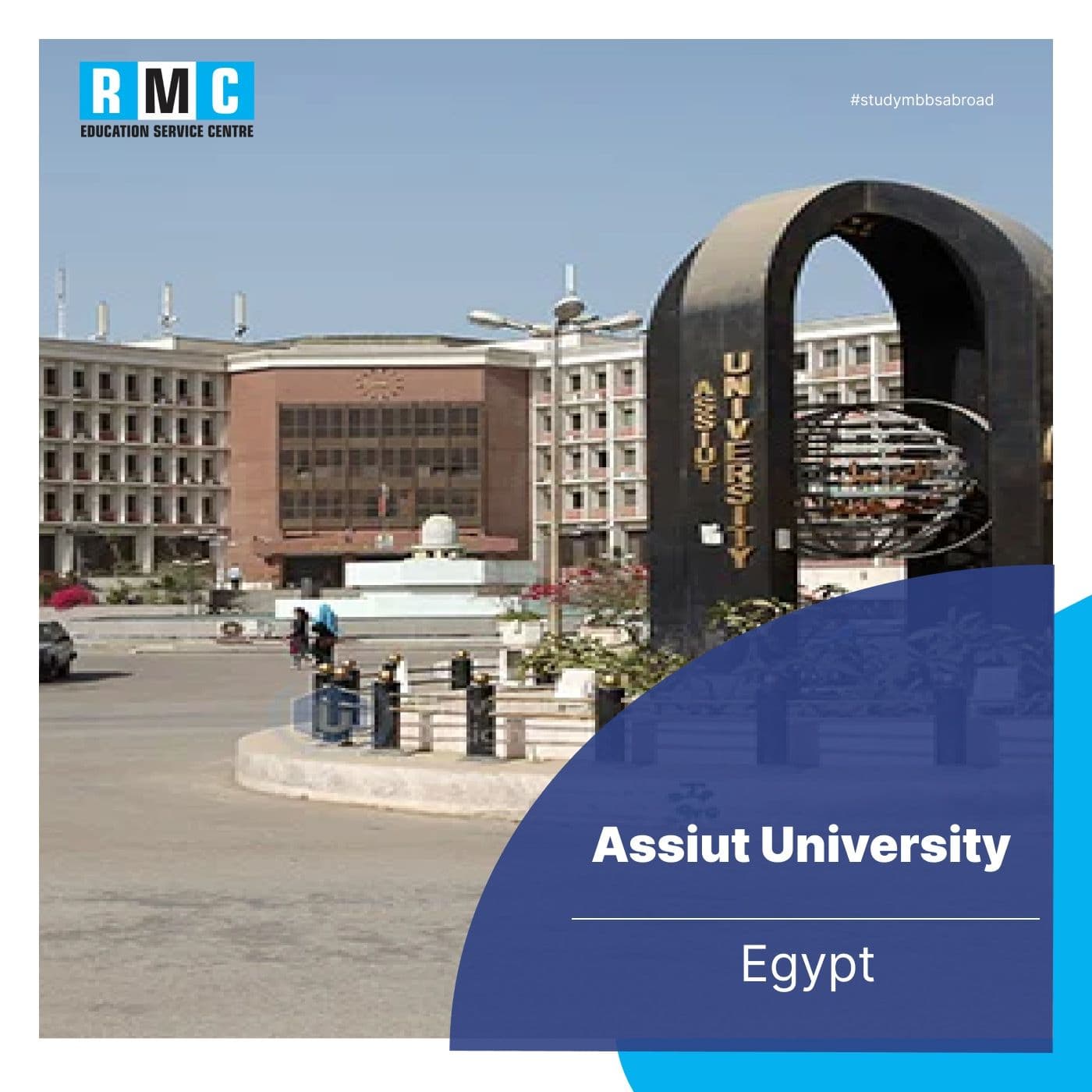 Assiut University