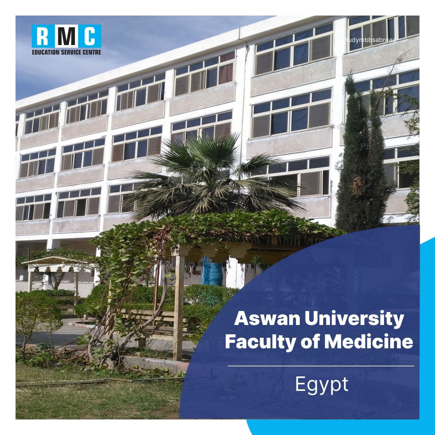 Aswan University Faculty of Medicine