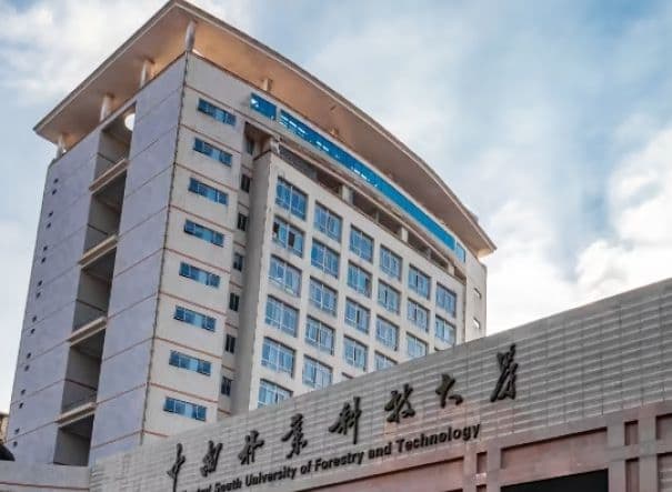 Central South University