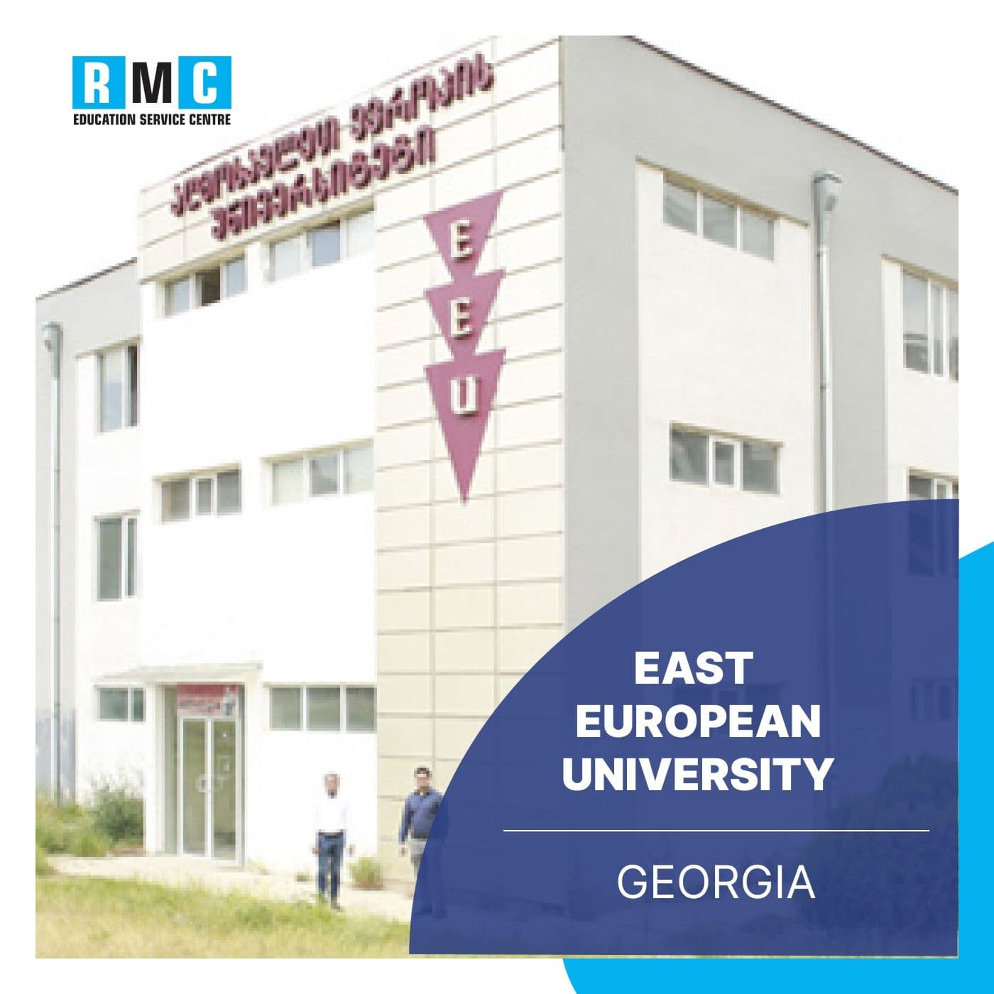 East European University