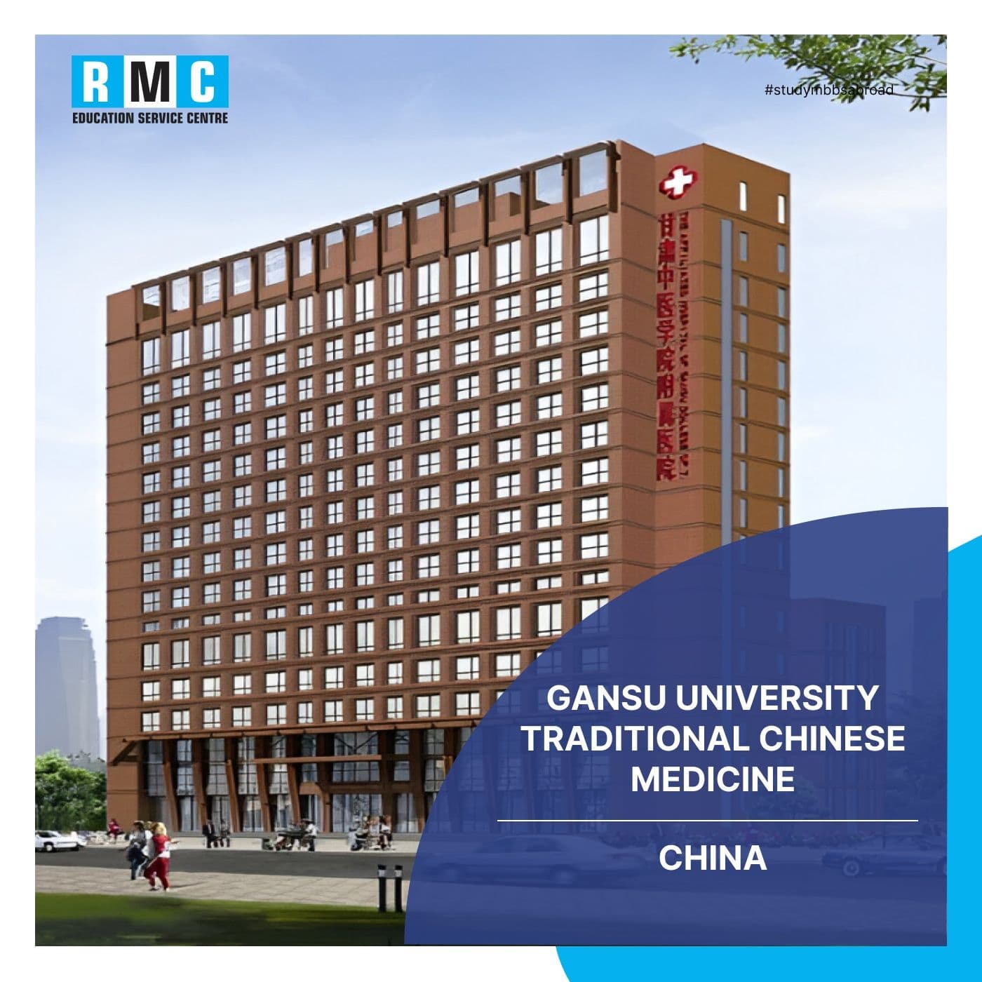 Gansu University Traditional Chinese Medicine