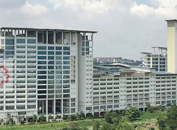 Management and Science University