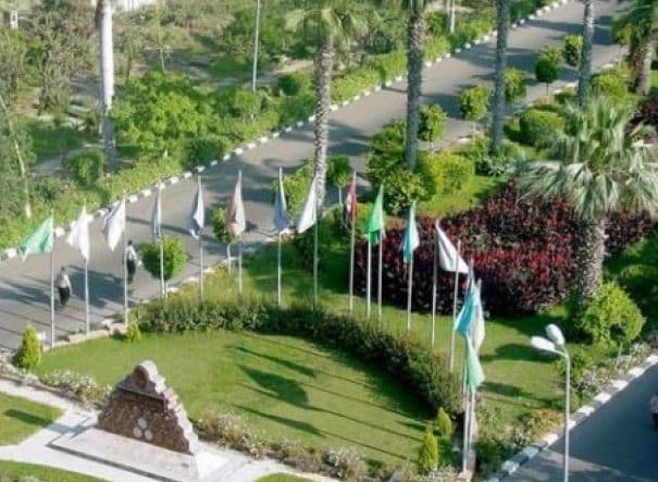 Mansoura University Egypt