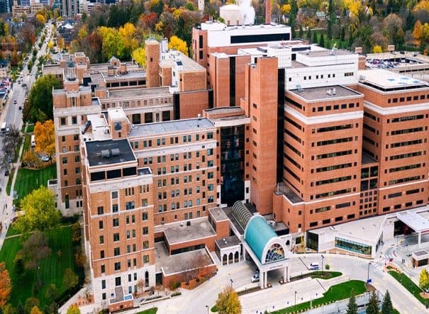 Mayo Medical School Rochester