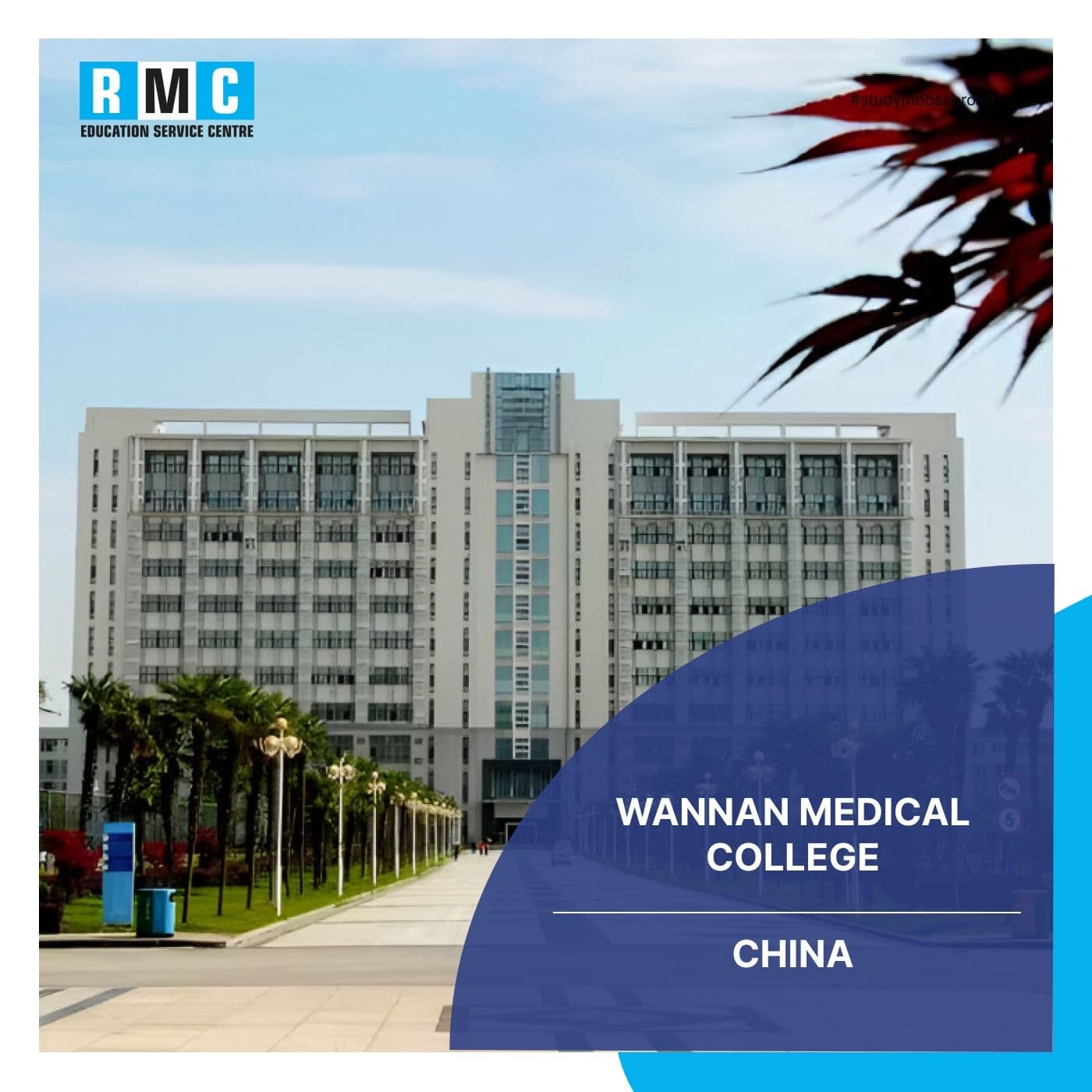 Wannan Medical College