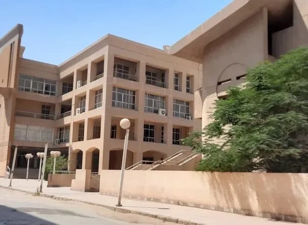 Helwan University