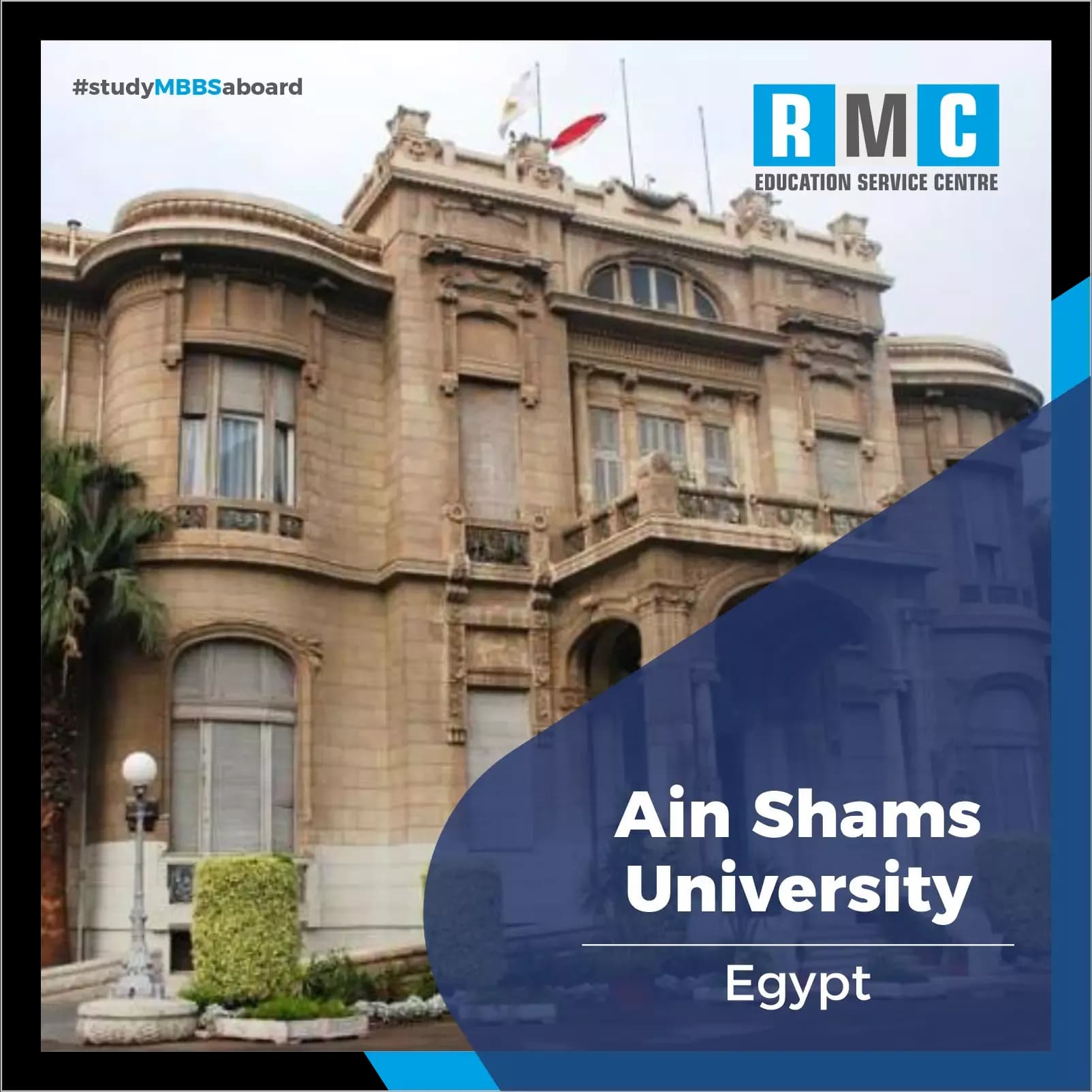 Ain Shams University