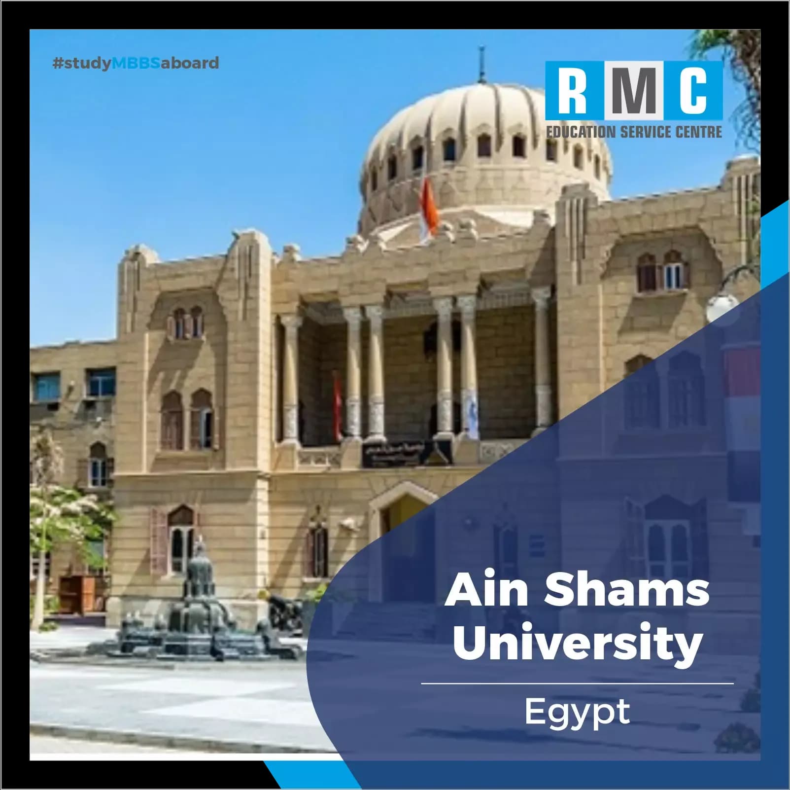 ain shams university