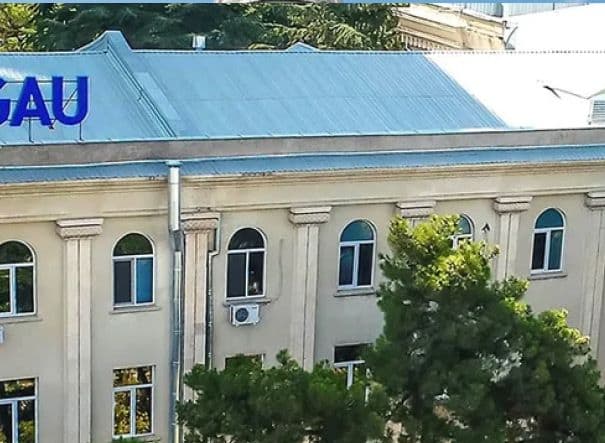Georgian American University