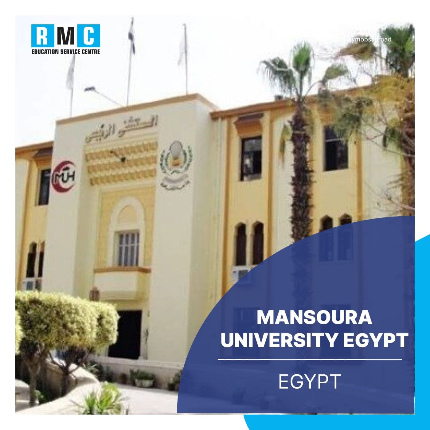 Menoufia University Faculty of Medicine