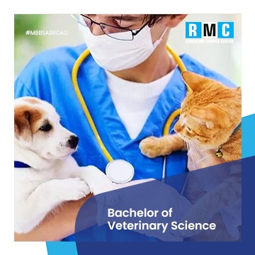 Bachelor of Veterinary Sciences