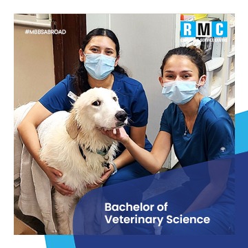 Bachelor of Veterinary Sciences