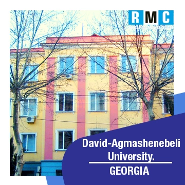 David Agmashenebeli University