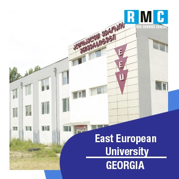 East European University