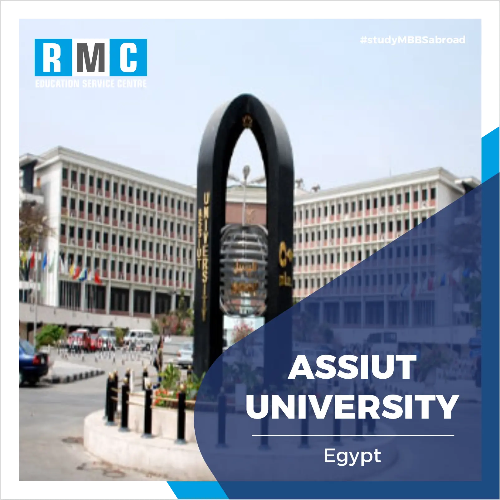 Assiut University