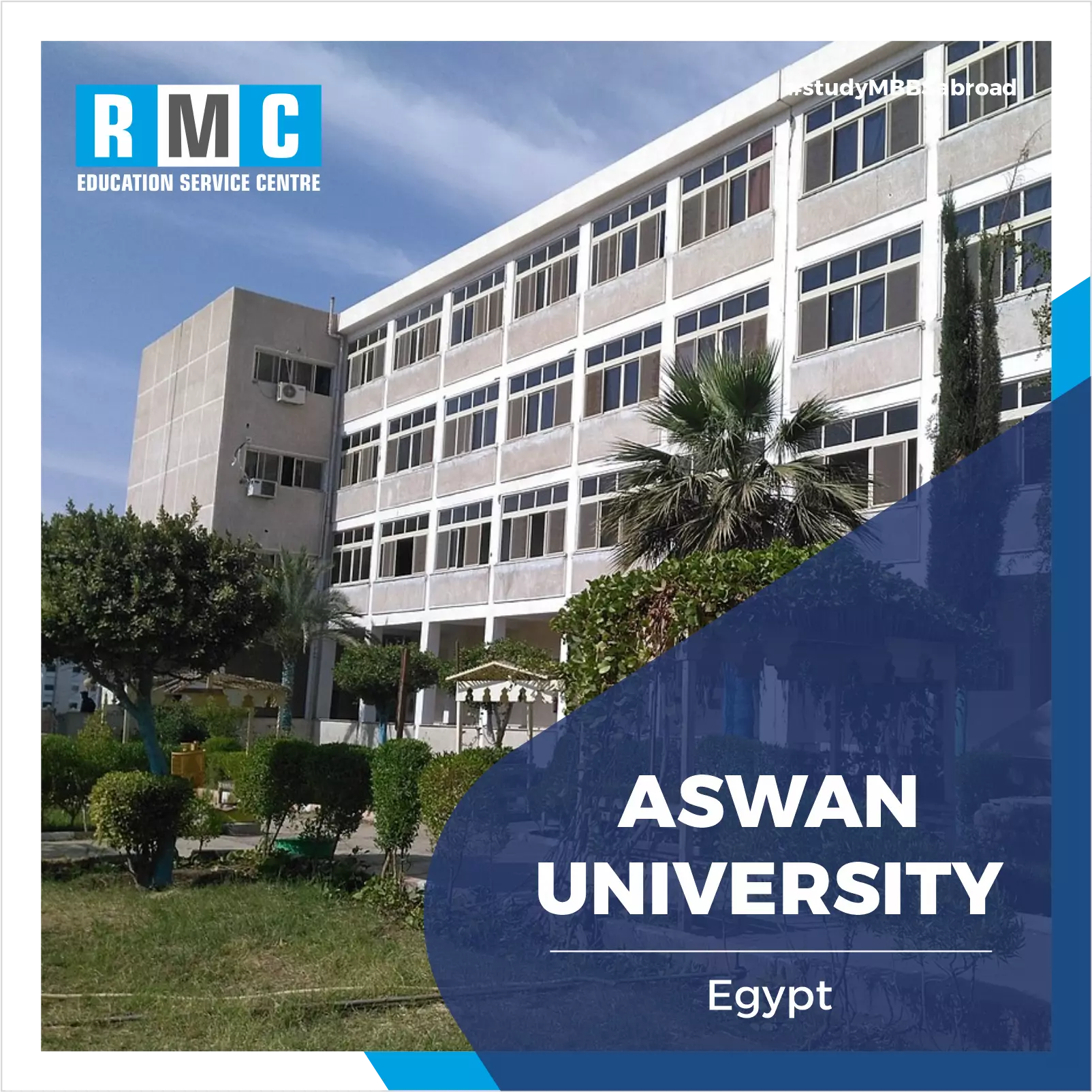 Aswan University Faculty of Medicine