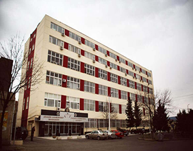 Caucasus International University