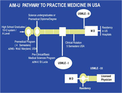 Low Fees MBBS In Saint Lucia for Indian Students